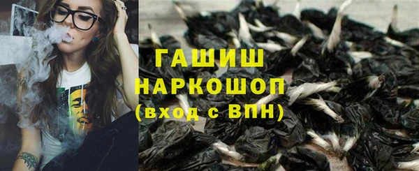 скорость Гусев