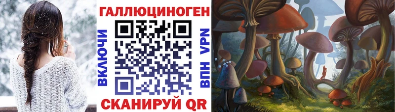 Купить  Кремёнки  Галлюциногенные грибы Psilocybine cubensis 